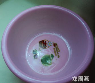 創(chuàng)新設(shè)計(jì)，源頭直供 探索2元新款塑料盆在家用與批發(fā)市場(chǎng)的無(wú)限潛力